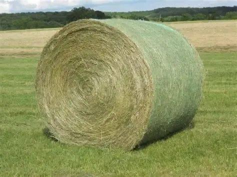 Hay bale