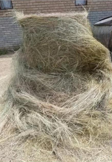 Storage hay